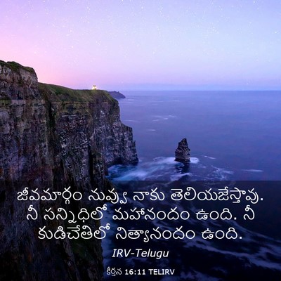 Picture 03 - కీర్తన 16:11 TELIRV - జీవమార్గం నువ్వు - Bible Verse Picture