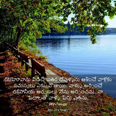 Picture 03 - కీర్తన 16:4 TELIRV - యెహోవాను విడిచి - Bible Verse Picture