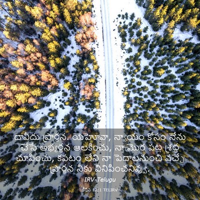 Picture 03 - కీర్తన 17:1 TELIRV - దావీదు ప్రార్థన. - Bible Verse Picture