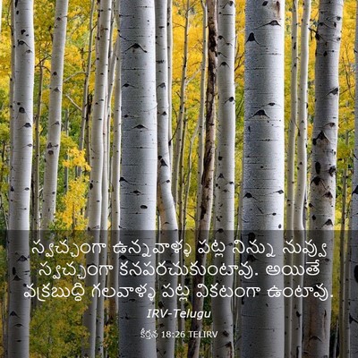 Picture 03 - కీర్తన 18:26 TELIRV - స్వచ్ఛంగా - Bible Verse Picture