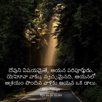 Picture 03 - కీర్తన 18:30 TELIRV - దేవుని విషయమైతే, - Bible Verse Picture