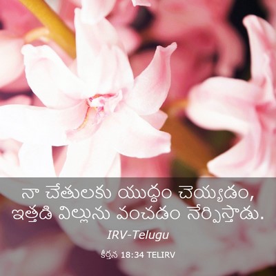 Picture 03 - కీర్తన 18:34 TELIRV - నా చేతులకు యుద్ధం - Bible Verse Picture