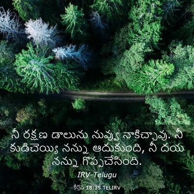 Picture 03 - కీర్తన 18:35 TELIRV - నీ రక్షణ డాలును - Bible Verse Picture