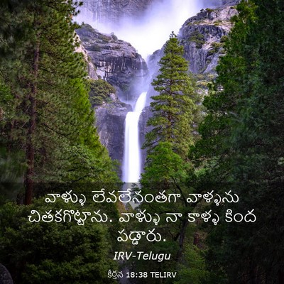 Picture 03 - కీర్తన 18:38 TELIRV - వాళ్ళు లేవలేనంతగా - Bible Verse Picture