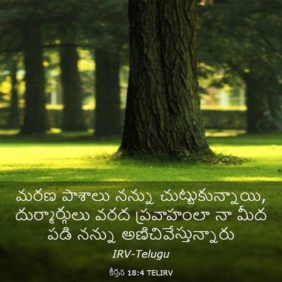 Picture 03 - కీర్తన 18:4 TELIRV - మరణ పాశాలు నన్ను - Bible Verse Picture