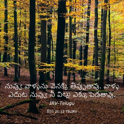 Picture 03 - కీర్తన 21:12 TELIRV - నువ్వు వాళ్ళను - Bible Verse Picture