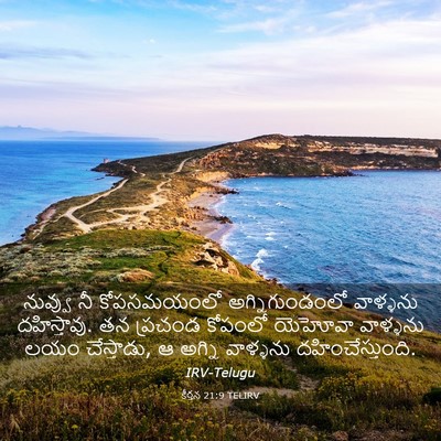 Picture 03 - కీర్తన 21:9 TELIRV - నువ్వు నీ - Bible Verse Picture