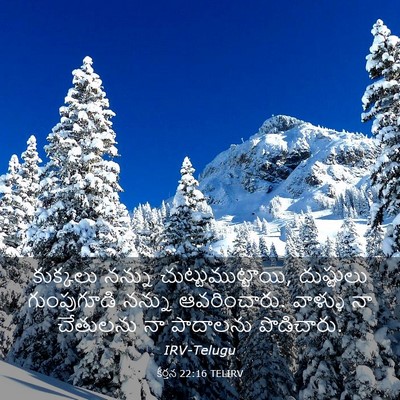 Picture 03 - కీర్తన 22:16 TELIRV - కుక్కలు నన్ను - Bible Verse Picture