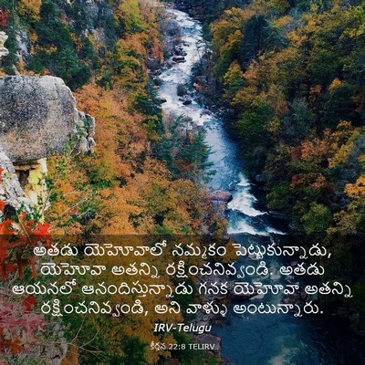 Picture 03 - కీర్తన 22:8 TELIRV - అతడు యెహోవాలో - Bible Verse Picture