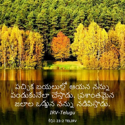 Picture 03 - కీర్తన 23:2 TELIRV - పచ్చిక బయలుల్లో - Bible Verse Picture