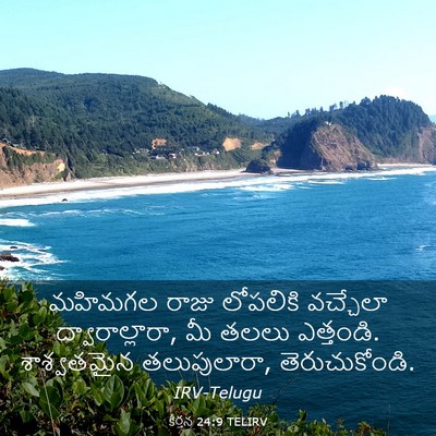 Picture 03 - కీర్తన 24:9 TELIRV - మహిమగల రాజు - Bible Verse Picture
