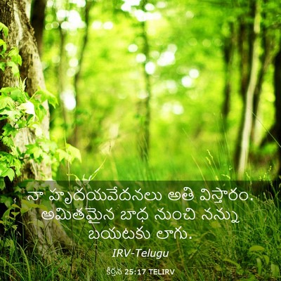 Picture 03 - కీర్తన 25:17 TELIRV - నా హృదయవేదనలు అతి - Bible Verse Picture