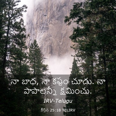 Picture 03 - కీర్తన 25:18 TELIRV - నా బాధ, నా కష్టం - Bible Verse Picture