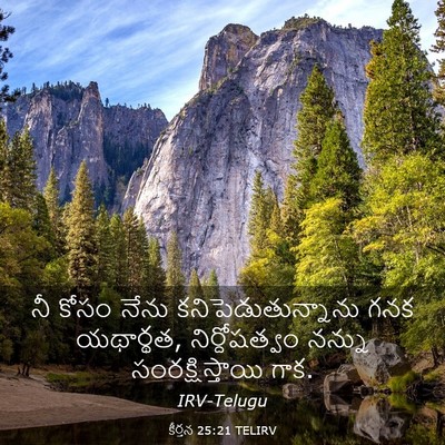 Picture 03 - కీర్తన 25:21 TELIRV - నీ కోసం నేను - Bible Verse Picture