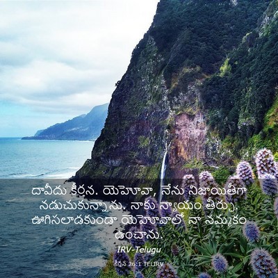 Picture 03 - కీర్తన 26:1 TELIRV - దావీదు కీర్తన. - Bible Verse Picture