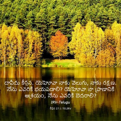Picture 03 - కీర్తన 27:1 TELIRV - దావీదు కీర్తన. - Bible Verse Picture