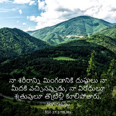 Picture 03 - కీర్తన 27:2 TELIRV - నా శరీరాన్ని - Bible Verse Picture