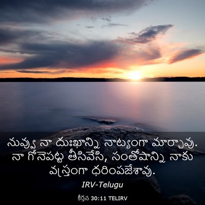 Picture 03 - కీర్తన 30:11 TELIRV - నువ్వు నా - Bible Verse Picture