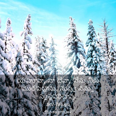 Picture 03 - కీర్తన 30:2 TELIRV - యెహోవా, నా దేవా, - Bible Verse Picture