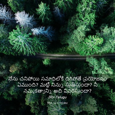 Picture 03 - కీర్తన 30:9 TELIRV - నేను చనిపోయి - Bible Verse Picture