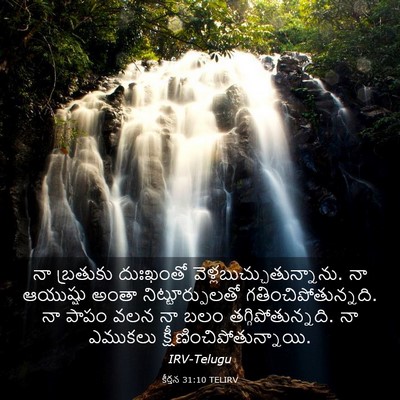 Picture 03 - కీర్తన 31:10 TELIRV - నా బ్రతుకు - Bible Verse Picture