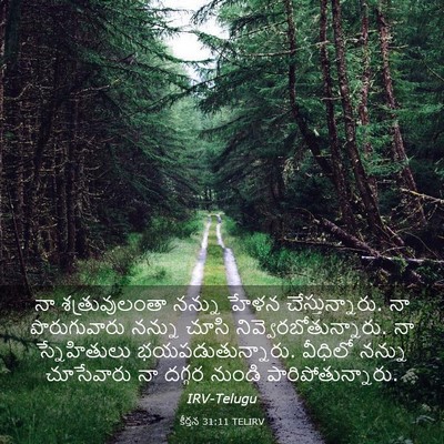Picture 03 - కీర్తన 31:11 TELIRV - నా శత్రువులంతా - Bible Verse Picture