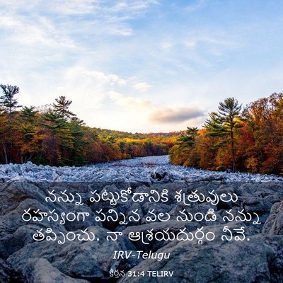 Picture 03 - కీర్తన 31:4 TELIRV - నన్ను - Bible Verse Picture