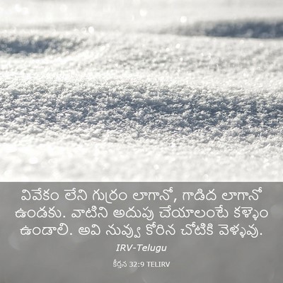 Picture 03 - కీర్తన 32:9 TELIRV - వివేకం లేని - Bible Verse Picture