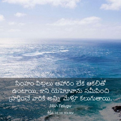 Picture 03 - కీర్తన 34:10 TELIRV - సింహం పిల్లలు - Bible Verse Picture