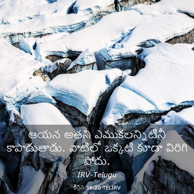 Picture 03 - కీర్తన 34:20 TELIRV - ఆయన అతని - Bible Verse Picture
