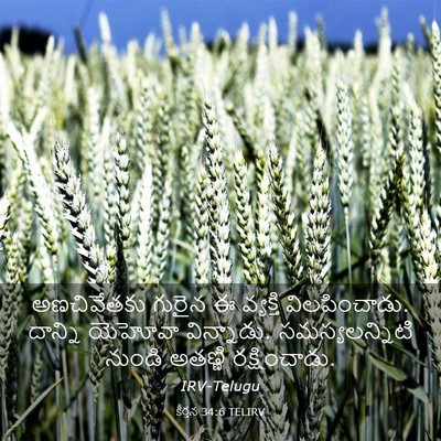 Picture 03 - కీర్తన 34:6 TELIRV - అణచివేతకు గురైన ఈ - Bible Verse Picture