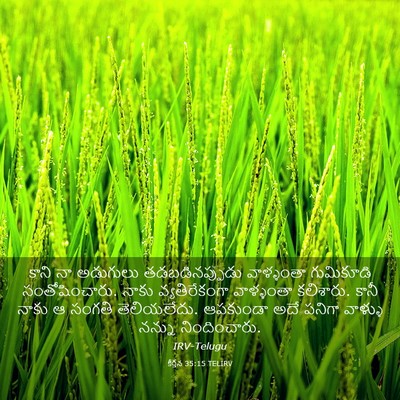 Picture 03 - కీర్తన 35:15 TELIRV - కాని నా అడుగులు - Bible Verse Picture