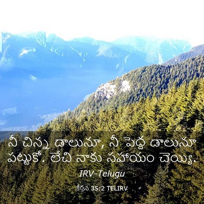 Picture 03 - కీర్తన 35:2 TELIRV - నీ చిన్న డాలునూ, నీ - Bible Verse Picture