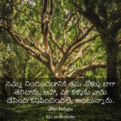 Picture 03 - కీర్తన 35:21 TELIRV - నన్ను - Bible Verse Picture