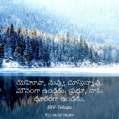 Picture 03 - కీర్తన 35:22 TELIRV - యెహోవా, నువ్వు - Bible Verse Picture