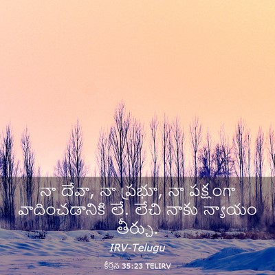 Picture 03 - కీర్తన 35:23 TELIRV - నా దేవా, నా ప్రభూ, - Bible Verse Picture