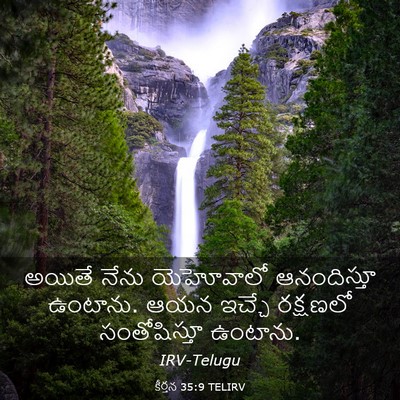 Picture 03 - కీర్తన 35:9 TELIRV - అయితే నేను - Bible Verse Picture