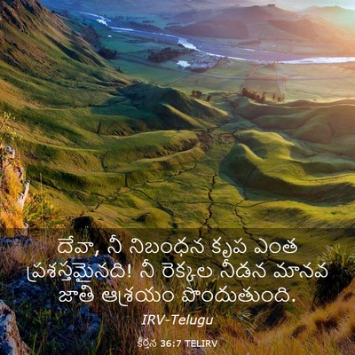 Picture 03 - కీర్తన 36:7 TELIRV - దేవా, నీ నిబంధన కృప - Bible Verse Picture