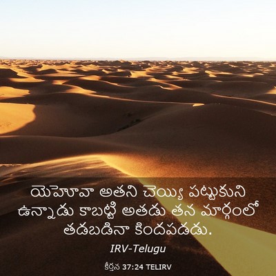 Picture 03 - కీర్తన 37:24 TELIRV - యెహోవా అతని - Bible Verse Picture