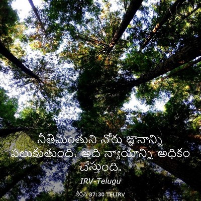 Picture 03 - కీర్తన 37:30 TELIRV - నీతిమంతుని నోరు - Bible Verse Picture