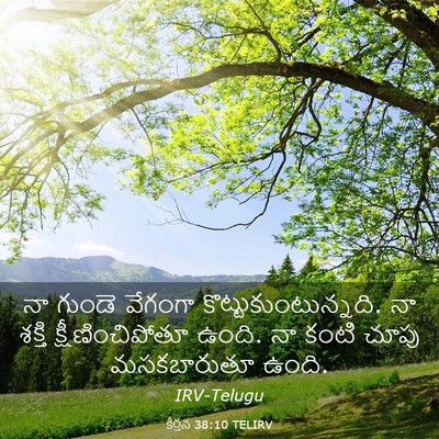 Picture 03 - కీర్తన 38:10 TELIRV - నా గుండె వేగంగా - Bible Verse Picture