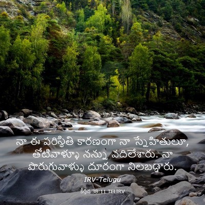 Picture 03 - కీర్తన 38:11 TELIRV - నా ఈ పరిస్థితి - Bible Verse Picture