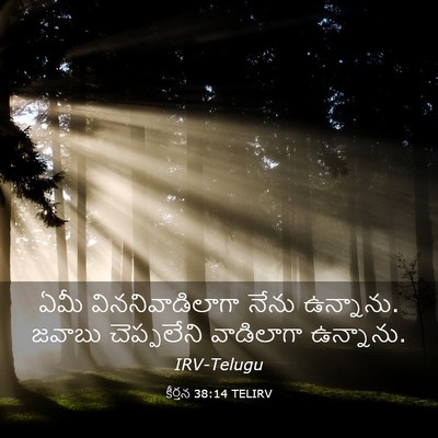 Picture 03 - కీర్తన 38:14 TELIRV - ఏమీ విననివాడిలాగా - Bible Verse Picture