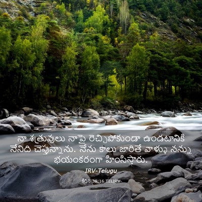 Picture 03 - కీర్తన 38:16 TELIRV - నా శత్రువులు నాపై - Bible Verse Picture