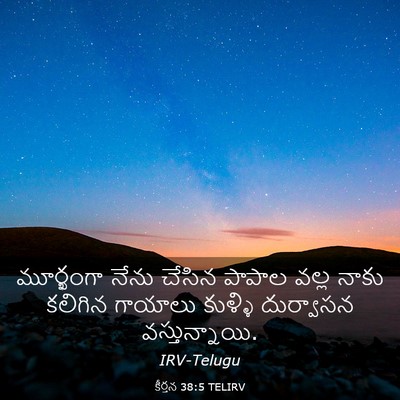 Picture 03 - కీర్తన 38:5 TELIRV - మూర్ఖంగా నేను - Bible Verse Picture