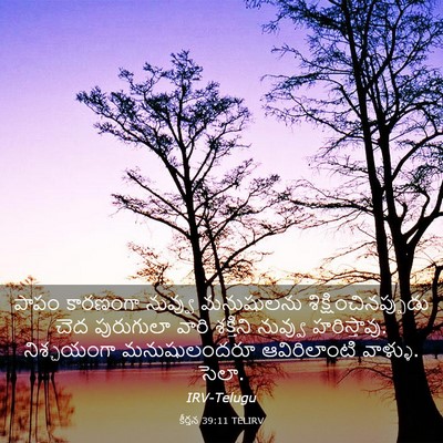 Picture 03 - కీర్తన 39:11 TELIRV - పాపం కారణంగా - Bible Verse Picture