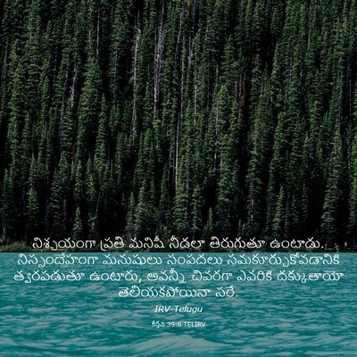 Picture 03 - కీర్తన 39:6 TELIRV - నిశ్చయంగా ప్రతి - Bible Verse Picture