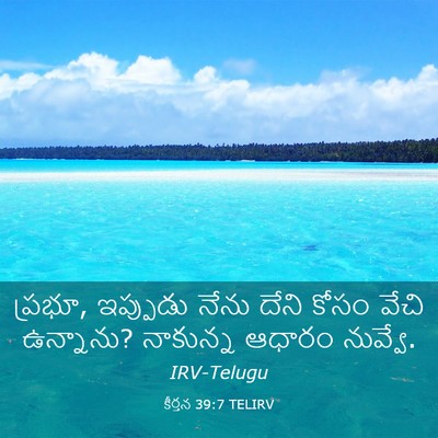 Picture 03 - కీర్తన 39:7 TELIRV - ప్రభూ, ఇప్పుడు - Bible Verse Picture