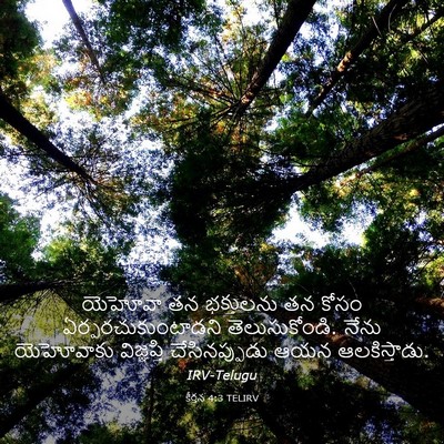 Picture 03 - కీర్తన 4:3 TELIRV - యెహోవా తన - Bible Verse Picture