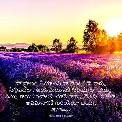 Picture 03 - కీర్తన 40:14 TELIRV - నా ప్రాణం తీయాలని - Bible Verse Picture